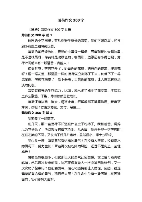 【精选】薄荷作文300字3篇
