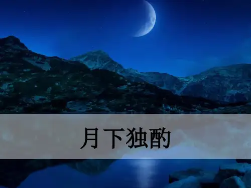 最新人教部编版九年级下册语文课外古诗词-月下独酌