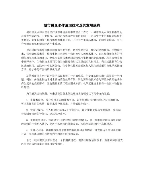 城市黑臭水体治理技术及其发展趋势