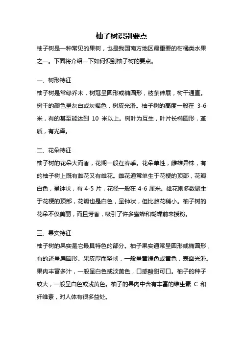 柚子树识别要点