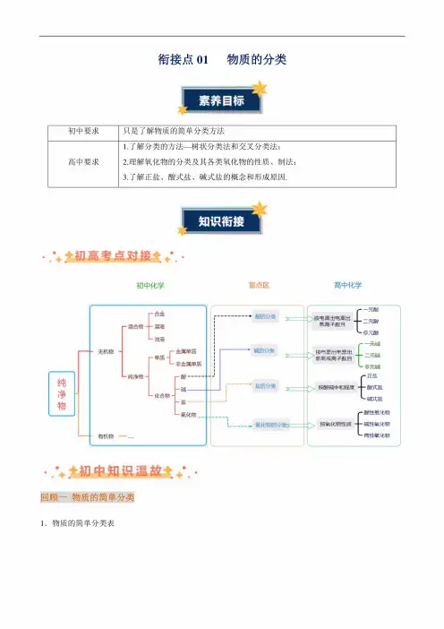 2024年初升高化学无忧衔接(通用版)衔接点01物质的分类(解析版)
