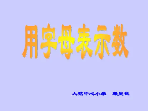 四年级数学用字母表示数[人教版]