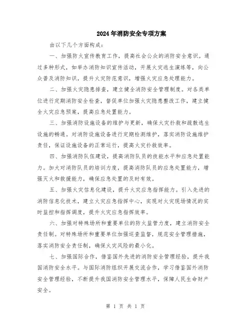 2024年消防安全专项方案