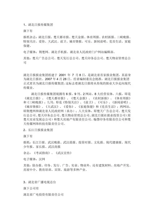 武汉传媒集团