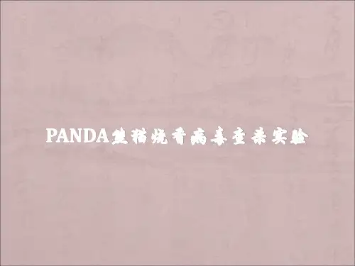 6。Panda熊猫烧香病毒查杀实验