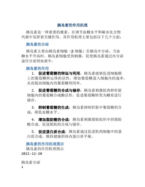 胰岛素的作用机理图