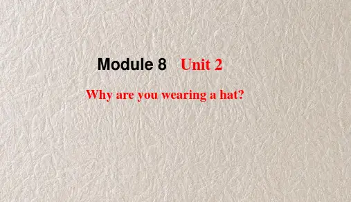 外研版英语六下Module 8 Unit 2 Why are you wearing a hat课件