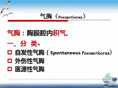 气胸的护理查房PPT课件