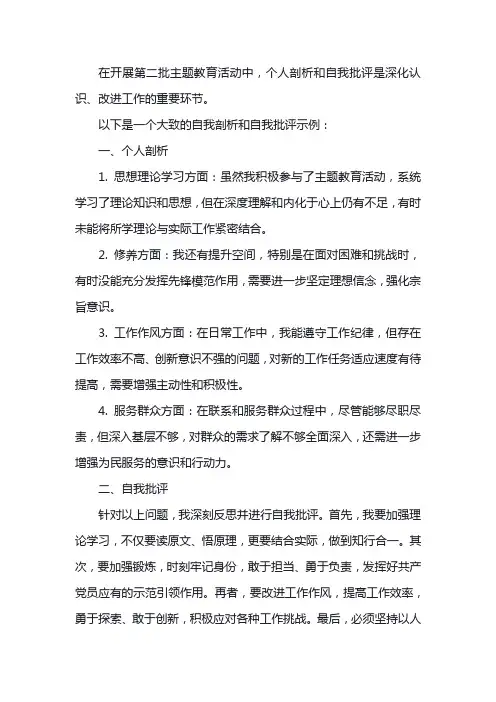 第二批主题教育个人剖析和自我批评