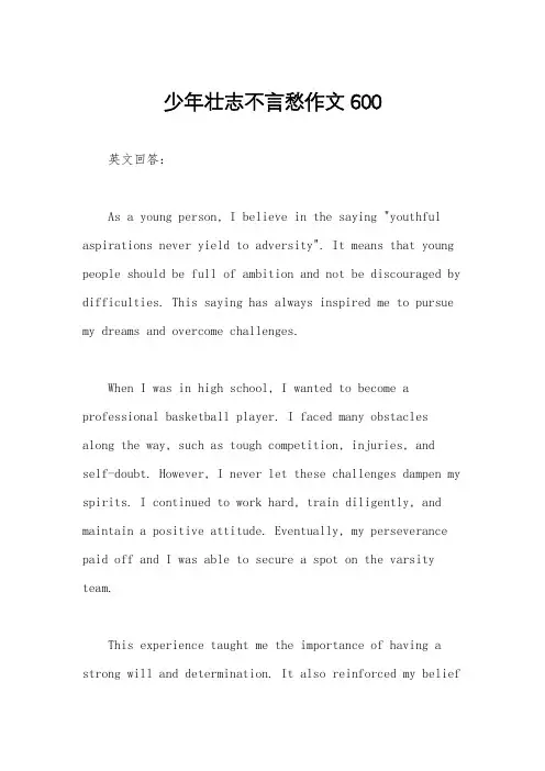 少年壮志不言愁作文600