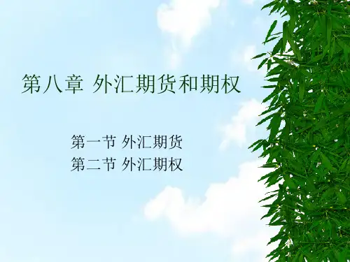第八章外汇期货和期权