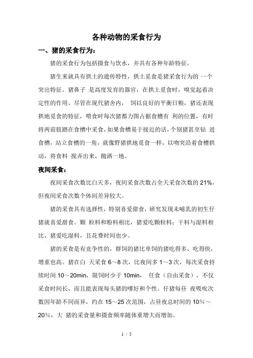 各种动物的采食行为