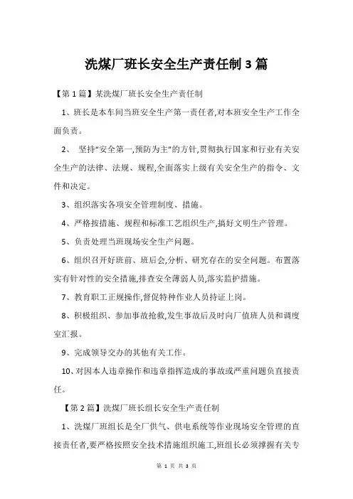 洗煤厂班长安全生产责任制3篇