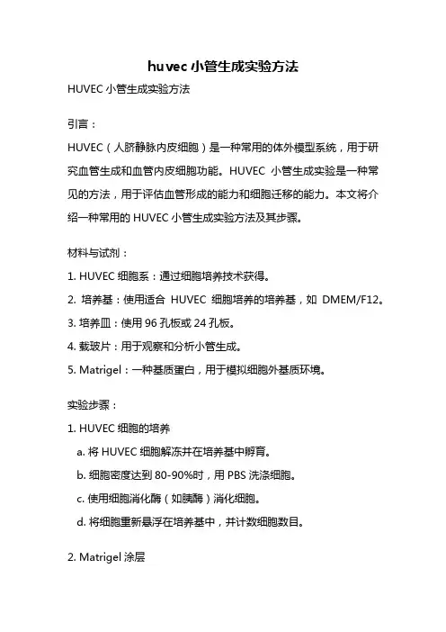 huvec小管生成实验方法