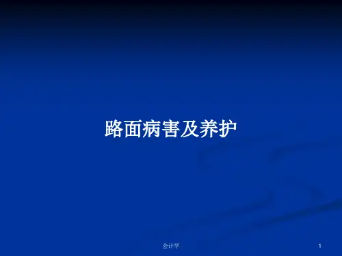 路面病害及养护PPT学习教案