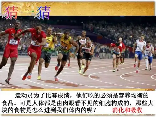 第九章 第二节 人体的消化与吸收