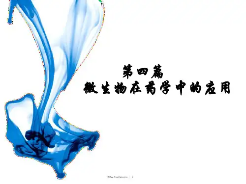 10 微生物在药学中的应用