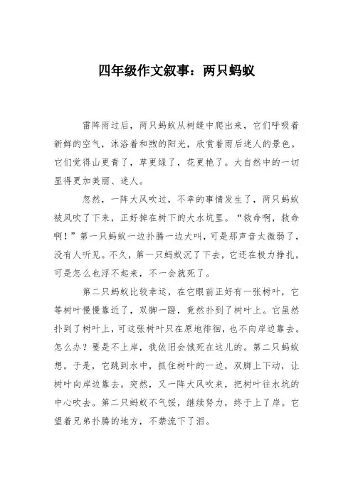 四年级作文叙事：两只蚂蚁