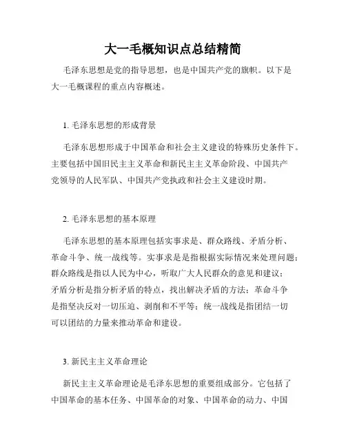 大一毛概知识点总结精简