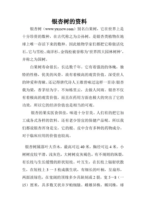 银杏树的资料