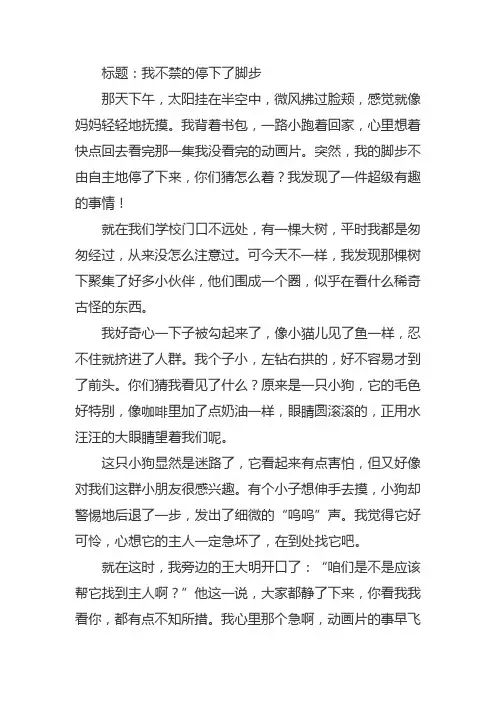 我不禁的停下了脚步作文