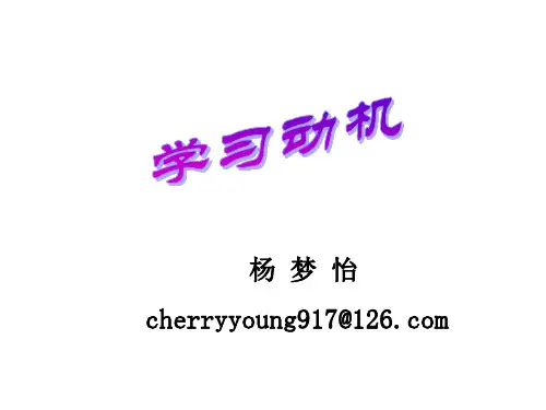 动机理论