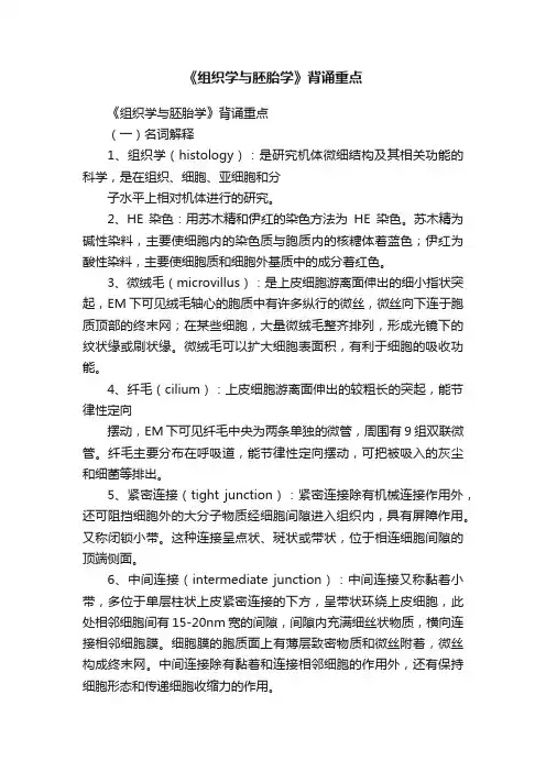 《组织学与胚胎学》背诵重点