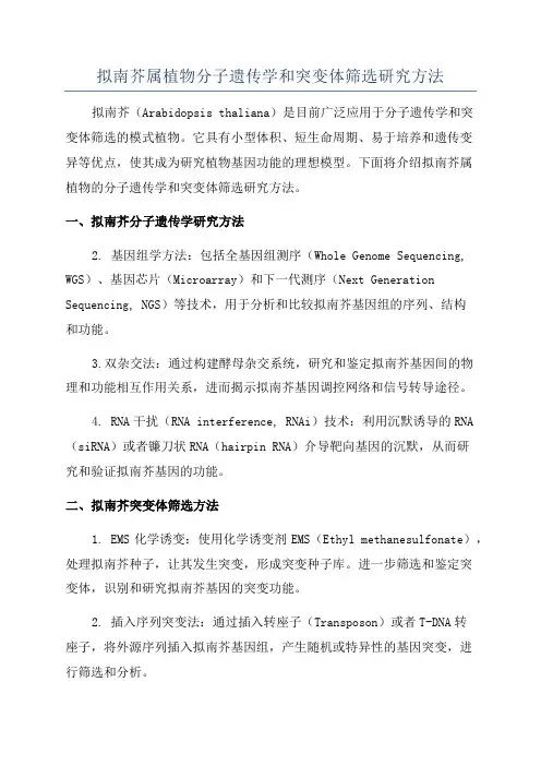 拟南芥属植物分子遗传学和突变体筛选研究方法
