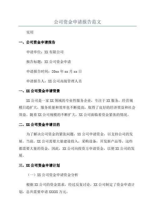 公司资金申请报告范文