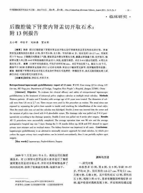 后腹腔镜下肾窦内肾盂切开取石术：附13例报告