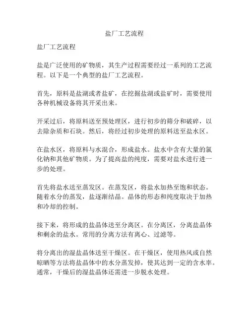 盐厂工艺流程