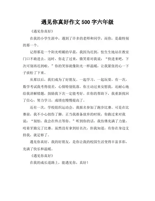 遇见你真好作文500字六年级