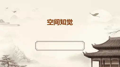 空间知觉PPT课件