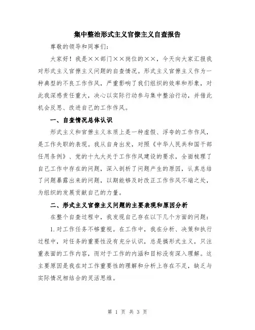 集中整治形式主义官僚主义自查报告