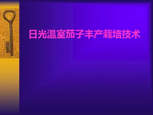 日光温室茄子丰产栽培技术