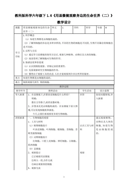 教科版六年级科学下册 《用显微镜观察身边的生命世界(二)》教案