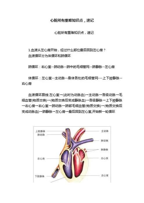 心脏所有重难知识点，速记