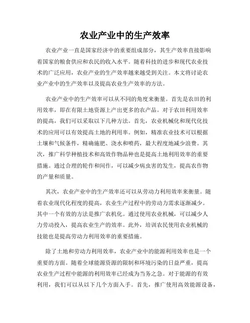 农业产业中的生产效率
