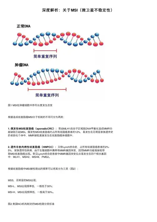 深度解析：关于MSI（微卫星不稳定性）