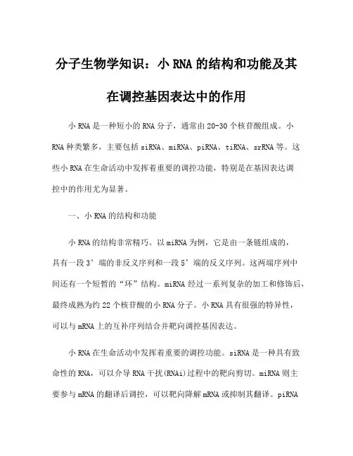 分子生物学知识：小RNA的结构和功能及其在调控基因表达中的作用