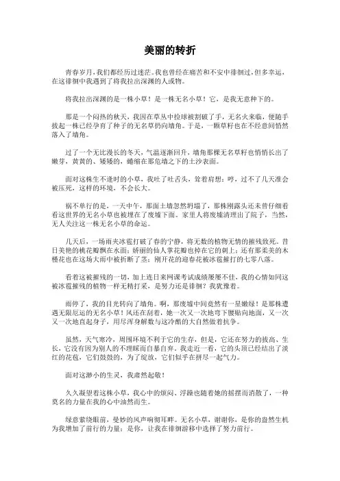 [高考作文]美丽的转折