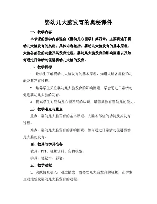 婴幼儿大脑发育的奥秘课件