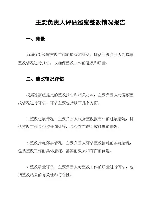 主要负责人评估巡察整改情况报告