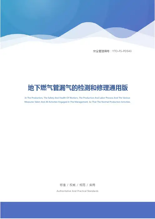 地下燃气管漏气的检测和修理通用版