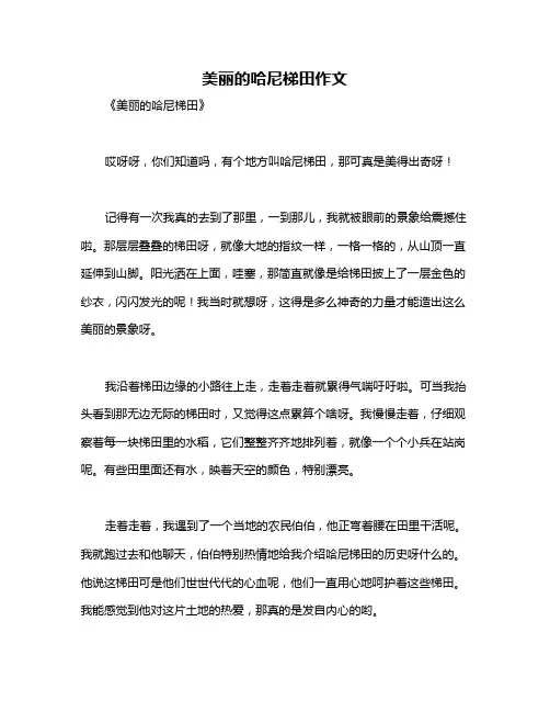 美丽的哈尼梯田作文