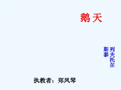 12天鹅ppt