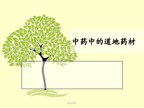 中药的道地药材及其鉴别
