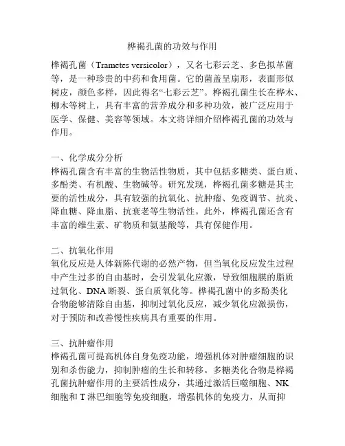 桦褐孔菌的功效与作用