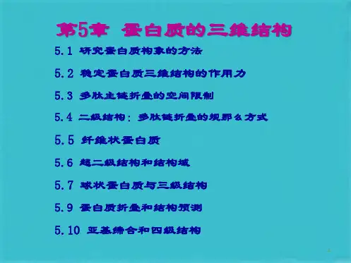第5章蛋白质的三维结构(共105张PPT)