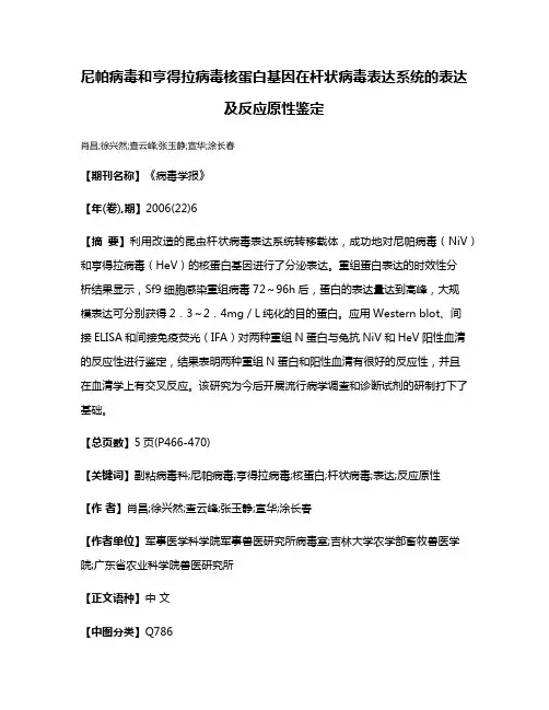 尼帕病毒和亨得拉病毒核蛋白基因在杆状病毒表达系统的表达及反应原性鉴定